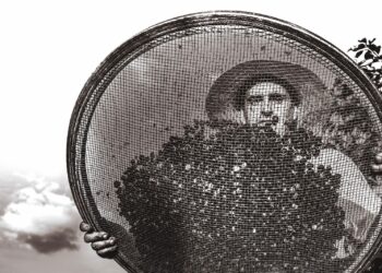 Escolas e bibliotecas do Litoral Norte começam a receber nesta segunda (29) doação de 1.000 livros “Cafés da Mantiqueira” do fotógrafo Ricardo Martins com apoio da Veibras