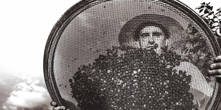 Escolas e bibliotecas do Litoral Norte começam a receber nesta segunda (29) doação de 1.000 livros “Cafés da Mantiqueira” do fotógrafo Ricardo Martins com apoio da Veibras