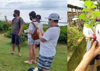 Cultivo de hortas e praia limpa são atividades de educação ambiental praticadas em Caraguatatuba