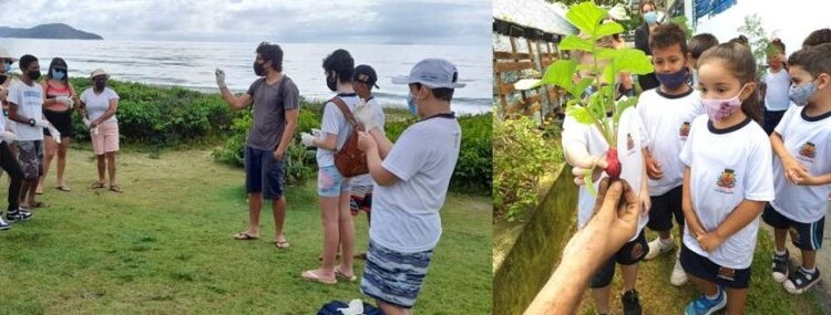 Cultivo de hortas e praia limpa são atividades de educação ambiental praticadas em Caraguatatuba