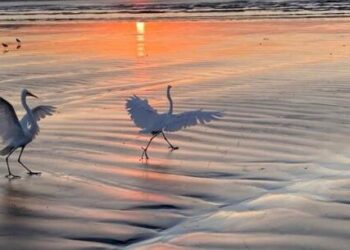 Fundacc recebe exposição fotográfica ‘Natureza Divina’ de Danielle Kurman