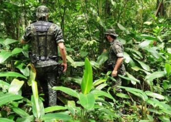 Atividade Delegada Ambiental aplica mais de R$ 7 mil em multa no mês de novembro