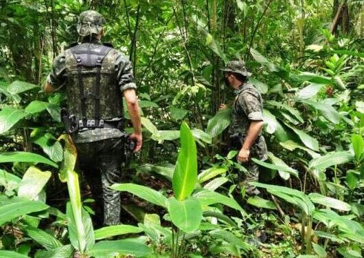 Atividade Delegada Ambiental aplica mais de R$ 7 mil em multa no mês de novembro