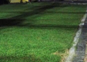 Prefeitura de Caraguatatuba flagra descarte irregular de poda e responsável pode ser multado em R$ 2,5 mil