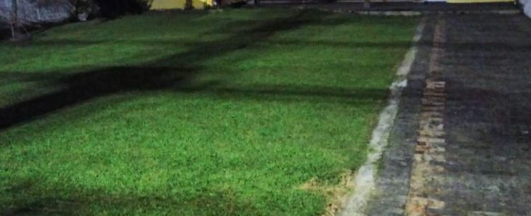 Prefeitura de Caraguatatuba flagra descarte irregular de poda e responsável pode ser multado em R$ 2,5 mil