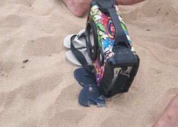 Fiscalização da Prefeitura de Caraguatatuba retira 50 caixas de som, seis churrasqueiras e 11 cães das praias