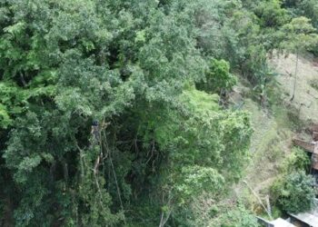 Principais ocorrências da Defesa Civil de Caraguatatuba em dezembro são os escorregamentos de terra