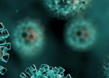 Caraguatatuba registra primeira morte por H3N2 e adia eventos municipais deste mês de janeiro