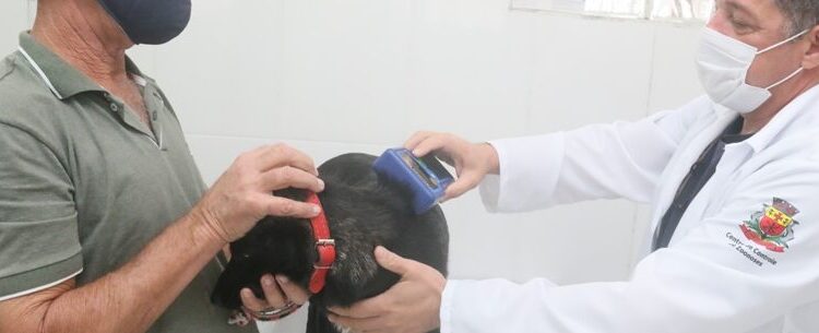 Caraguatatuba abre agendas com cerca de 300 vagas para castração de cães e gatos