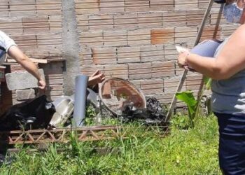 Caraguatatuba inicia primeira avaliação de densidade larvária do ano; resultado deve ser entregue até o final do mês