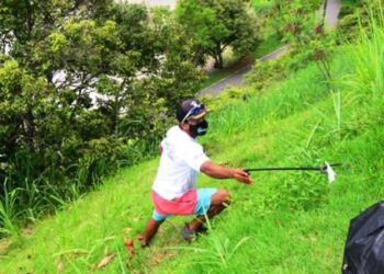 Ação de limpeza de rios, praias e costeiras recolhe mais de 260 kg de microlixo