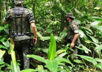 R$ 39 mil em multas são aplicadas por degradação em área de invasão pela Atividade Delegada Ambiental em dezembro