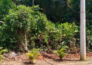 Prefeitura de Caraguatatuba recupera segunda área pública em menos de uma semana