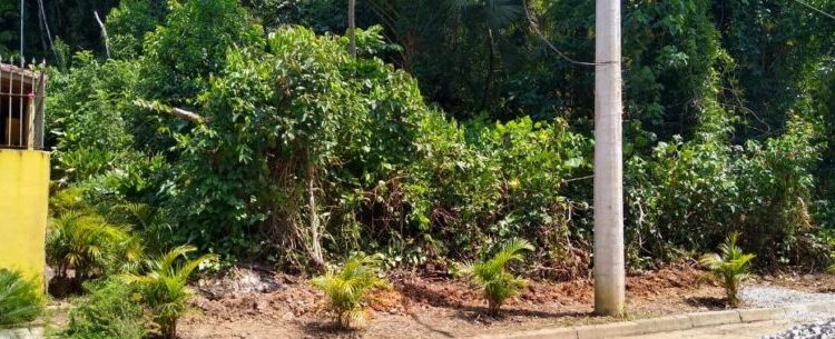 Prefeitura de Caraguatatuba recupera segunda área pública em menos de uma semana