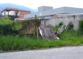 Prefeitura de Caraguatatuba registra 571 autuações, em 2021, por terrenos e calçadas com mato alto e irregulares