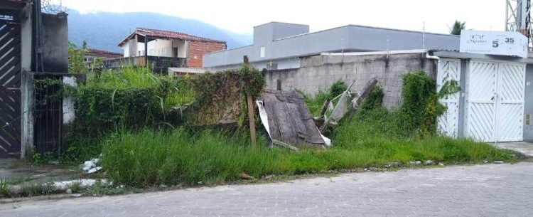 Prefeitura de Caraguatatuba registra 571 autuações, em 2021, por terrenos e calçadas com mato alto e irregulares