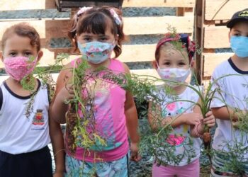 Projeto ‘Hortas Educativas’ realiza aula prática com colheita em Caraguatatuba