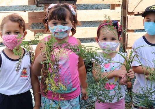 Projeto ‘Hortas Educativas’ realiza aula prática com colheita em Caraguatatuba
