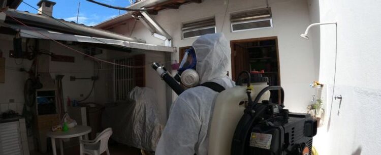 Prefeitura de Caraguatatuba continua ações de combate ao mosquito Aedes aegypti até sexta