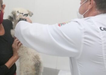 Doses de vacina antirrábica estão disponíveis no CCZ de Caraguatatuba das 9h às 14h