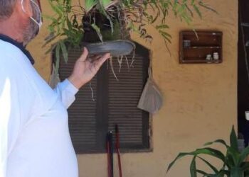 ADL aponta que taxa de infestação de dengue está acima de 2% e coloca Caraguatatuba em estado de alerta