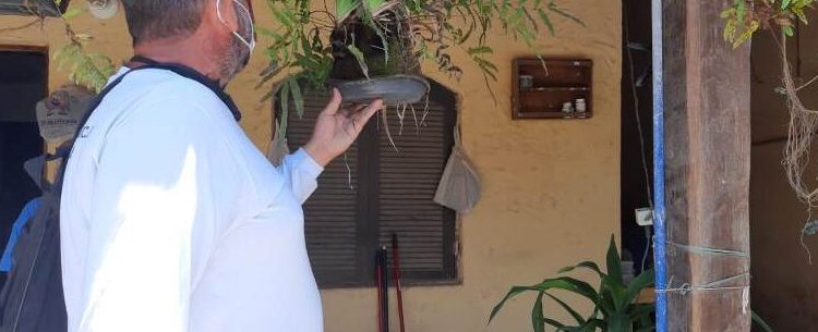 ADL aponta que taxa de infestação de dengue está acima de 2% e coloca Caraguatatuba em estado de alerta