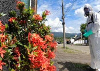 Jardim Primavera e Pegorelli recebem ações contra dengue nesta quarta-feira