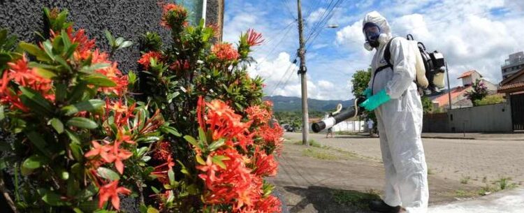 Jardim Primavera e Pegorelli recebem ações contra dengue nesta quarta-feira