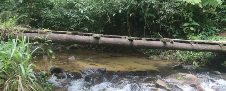 Prefeitura vai realizar serviços de melhorias em passarelas no Cantagalo