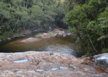 Sebrea vai ajudar empresários na capacitação e certificação de segurança do ecoturismo e turismo de aventura