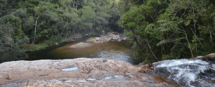 Sebrea vai ajudar empresários na capacitação e certificação de segurança do ecoturismo e turismo de aventura