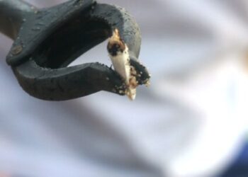 Cerca de 700 kg de lixo são recolhidos em ação de limpeza de rios, praias e costeiras em Caraguatatuba