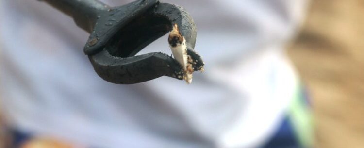 Cerca de 700 kg de lixo são recolhidos em ação de limpeza de rios, praias e costeiras em Caraguatatuba