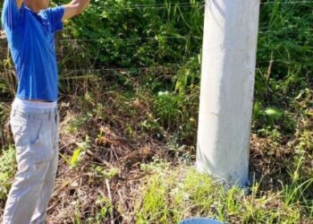 Prefeitura inicia pintura de guias e postes em estrada rural de Caraguatatuba