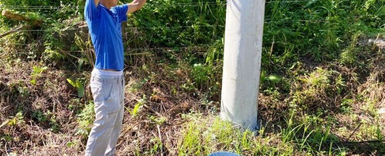 Prefeitura inicia pintura de guias e postes em estrada rural de Caraguatatuba