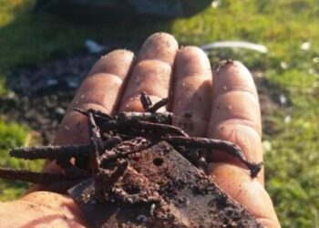 Limpeza de rios, praias e costeiras retira 925 kg de lixo em Caraguatatuba