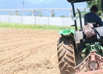 Caraguatatuba realiza censo inédito sobre produtores rurais e artesanais do município