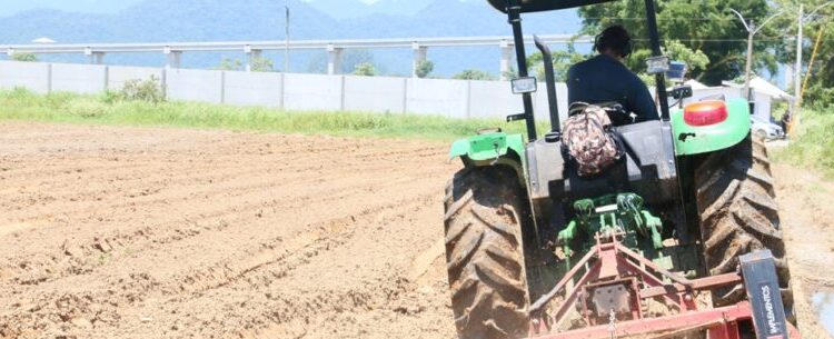 Caraguatatuba realiza censo inédito sobre produtores rurais e artesanais do município