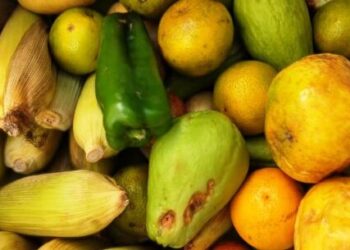 Banco de Alimentos de Caraguatatuba repassa em fevereiro 6,1 toneladas de doações para instituições sociais