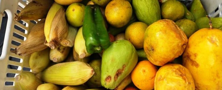 Banco de Alimentos de Caraguatatuba repassa em fevereiro 6,1 toneladas de doações para instituições sociais