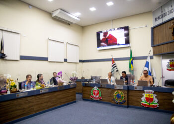 Mulheres são homenageadas na Câmara Municipal