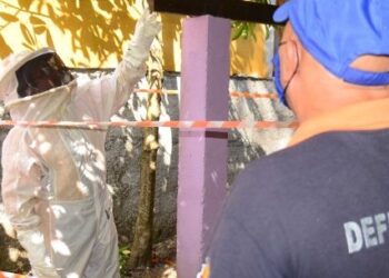 Atendimentos da Defesa Civil de Caraguatatuba caem 32,5% em fevereiro