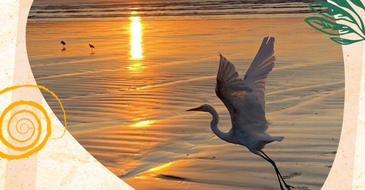 Coquetel de lançamento da Exposição ‘Natureza Divina’ da fotógrafa Dani Kurman será nesta quinta (31) no Serramar Shopping em comemoração aos 165 anos de Caraguá