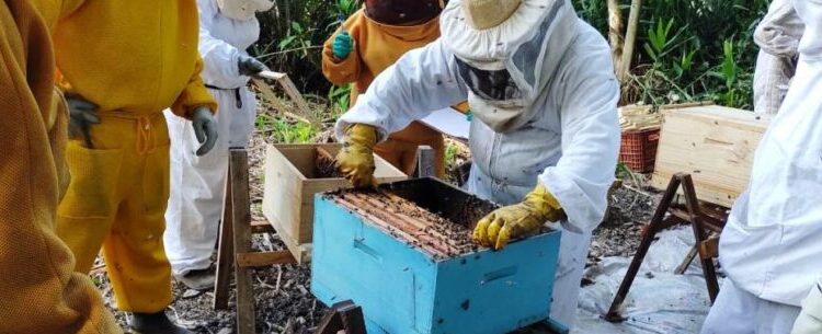 Curso de Apicultura entra na fase prática e fomenta a profissionalização da atividade