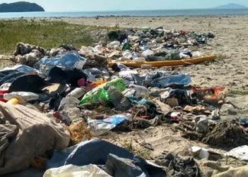 Ação de limpeza de rios, praias e costeiras encerra com a retirada de aproximadamente 1,5 tonelada de microlixos