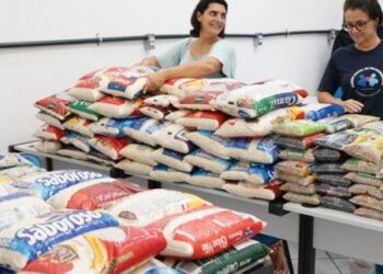 Fundo Social de Caraguatatuba repassa mais de 2 toneladas de alimentos para instituições sociais
