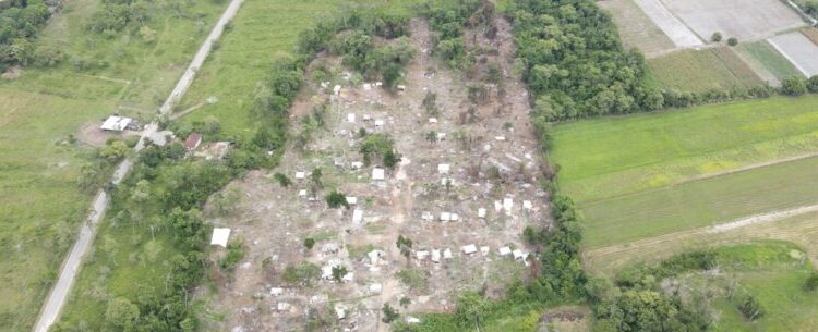 Prefeitura de Caraguatatuba fiscaliza construções irregulares em área particular no Pegorelli