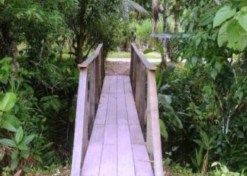 Prefeitura de Caraguatatuba reforma ponte de madeira no Alto Jetuba, região norte