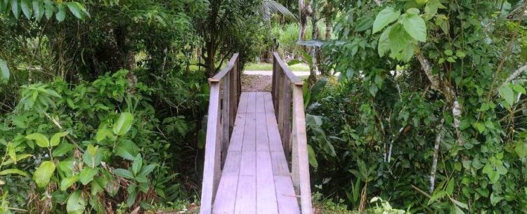 Prefeitura de Caraguatatuba reforma ponte de madeira no Alto Jetuba, região norte
