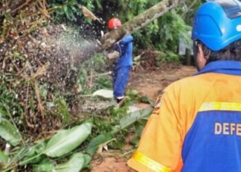 Defesa Civil alerta para chuvas de até 50 mm para o Litoral Norte neste fim de semana
